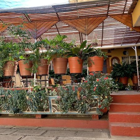 Habitaciones Betito Mazamitla Zewnętrze zdjęcie