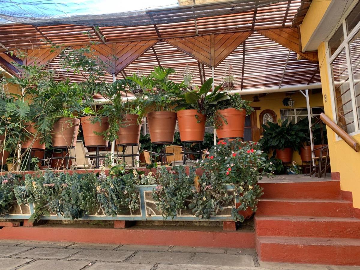 Habitaciones Betito Mazamitla Zewnętrze zdjęcie